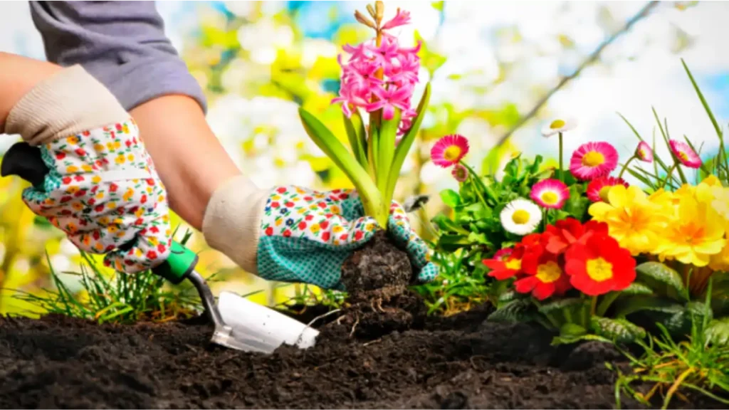 Jardinagem: Seu Novo Hobby Antiestresse e Relaxante