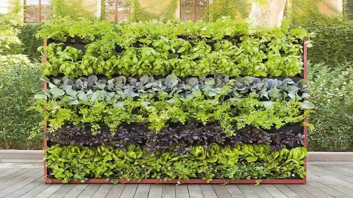 Jardim suspenso na varanda na página sobre do blog Conversa Pronta