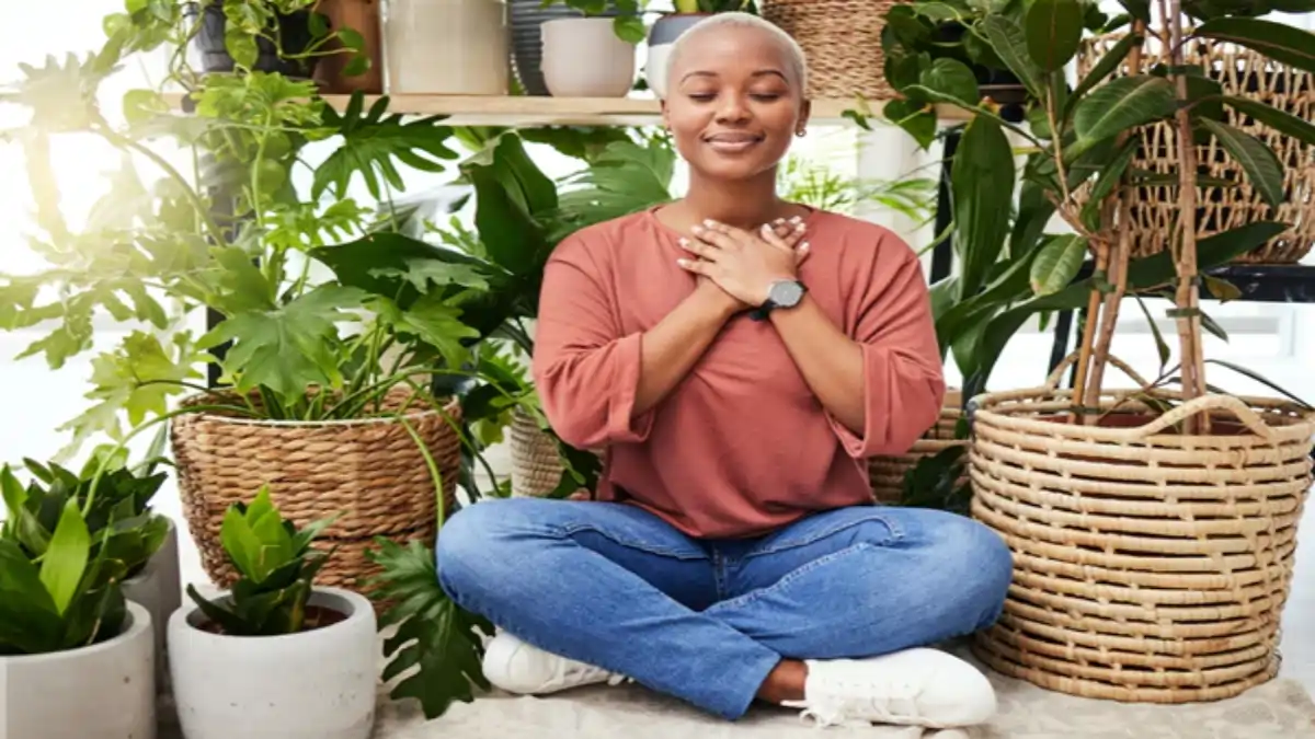 Meditação com plantas, guia completo no Blog Conversa Pronta.