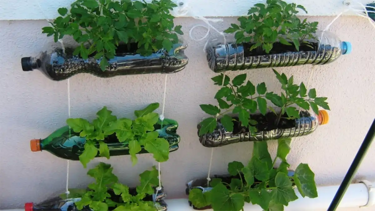 Ferramentas caseiras para reaproveitamento sustentável, dicas no blog Conversa Pronta.