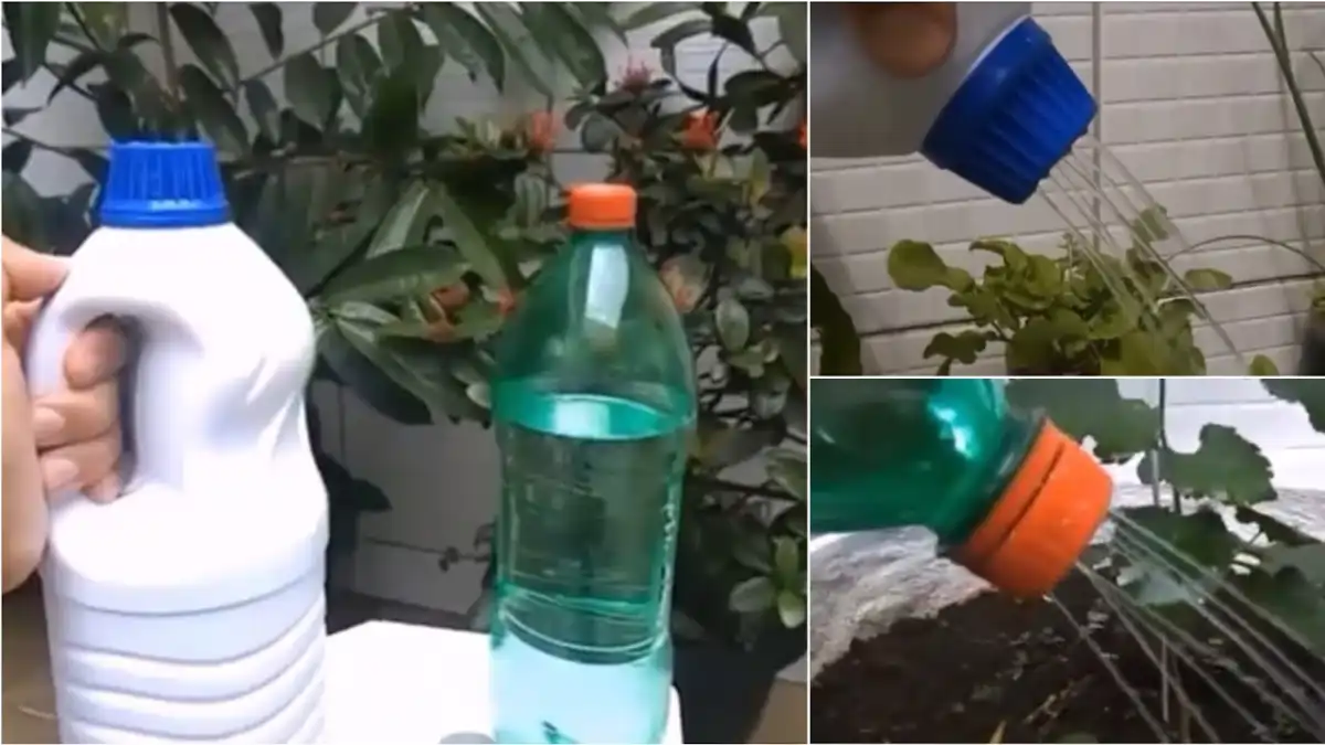 Ferramentas caseiras, regador, no blog Conversa Pronta