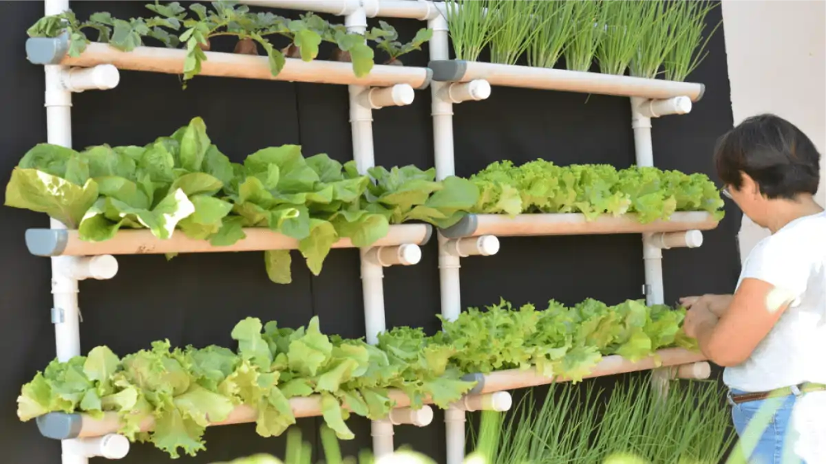 Irrigação automática com arduino, esquema no blog Conversa Pronta. Passo a passo e dicas completo.