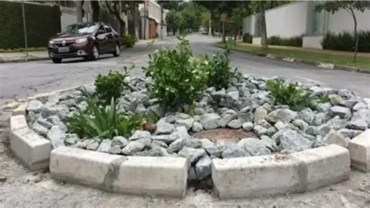 Um jardim de chuva na rua. Dicas no blog Conversa Pronta.