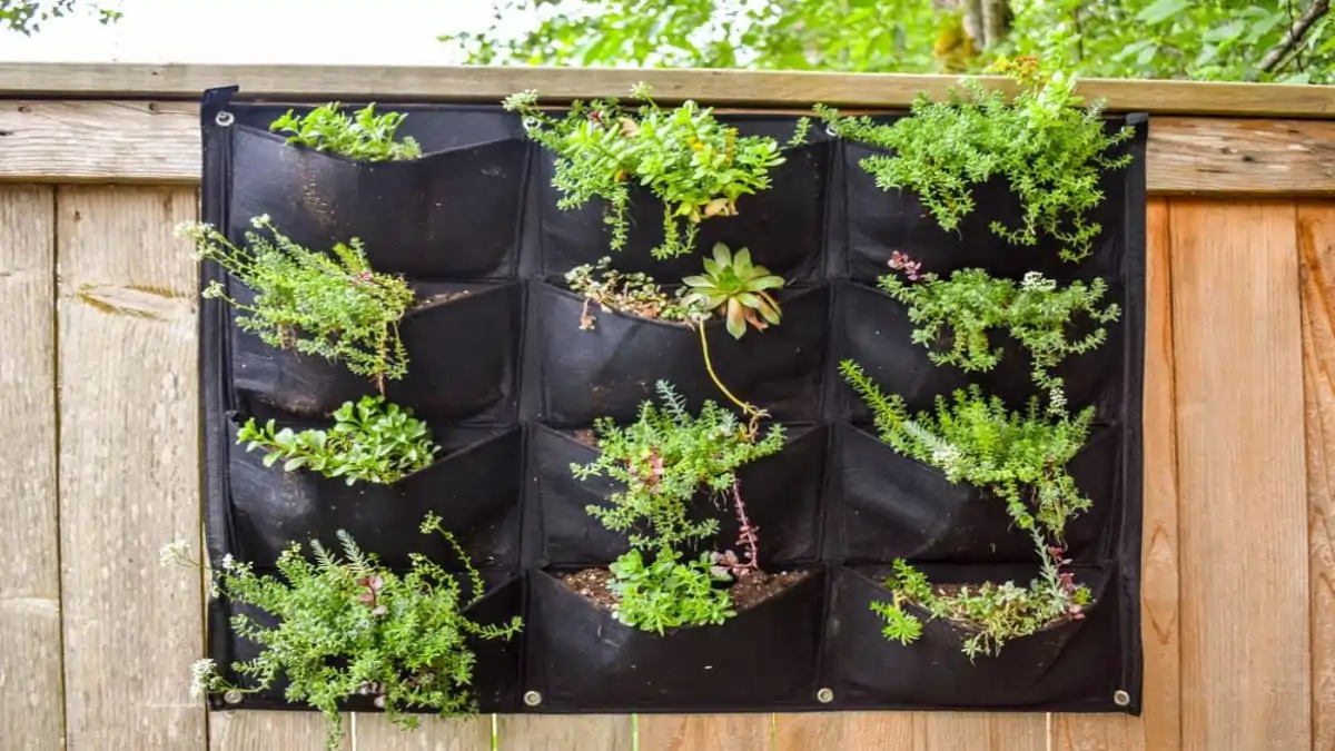 Jardim vertical, sacos, estrutura montada em parede de varanda, no blog Conversa Pronta.