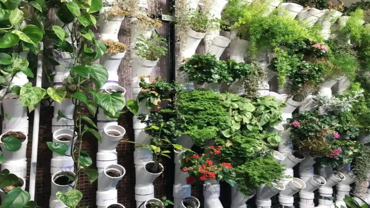 Jardim vertical, estrutura montada em parede de apartamento, no blog Conversa Pronta.
