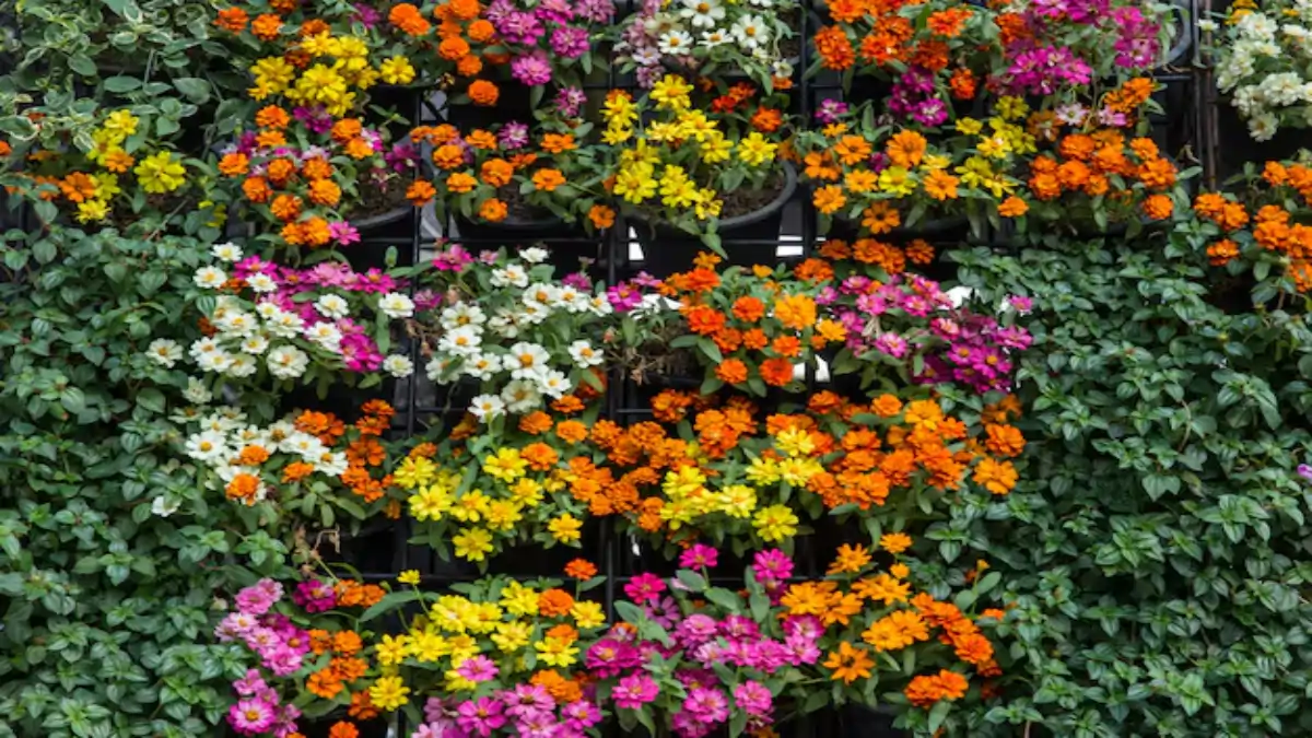 Jardim vertical, flores estrutura montada em parede de varanda, no blog Conversa Pronta.