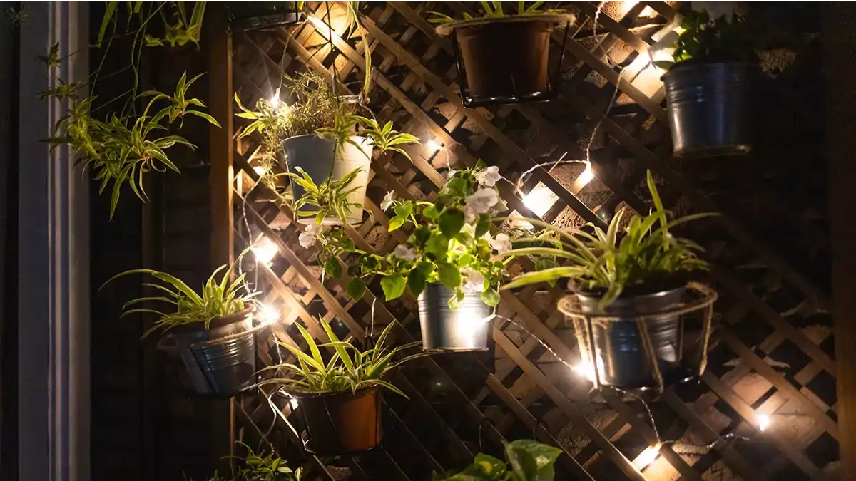Led Grow, as lampadas para plantas de apartamento, todas as  dicas no blog Conversa Pronta.