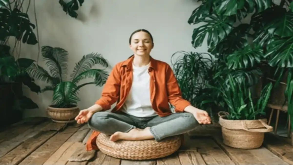Meditação com plantas, passo a passo completo no Blog Conversa Pronta.