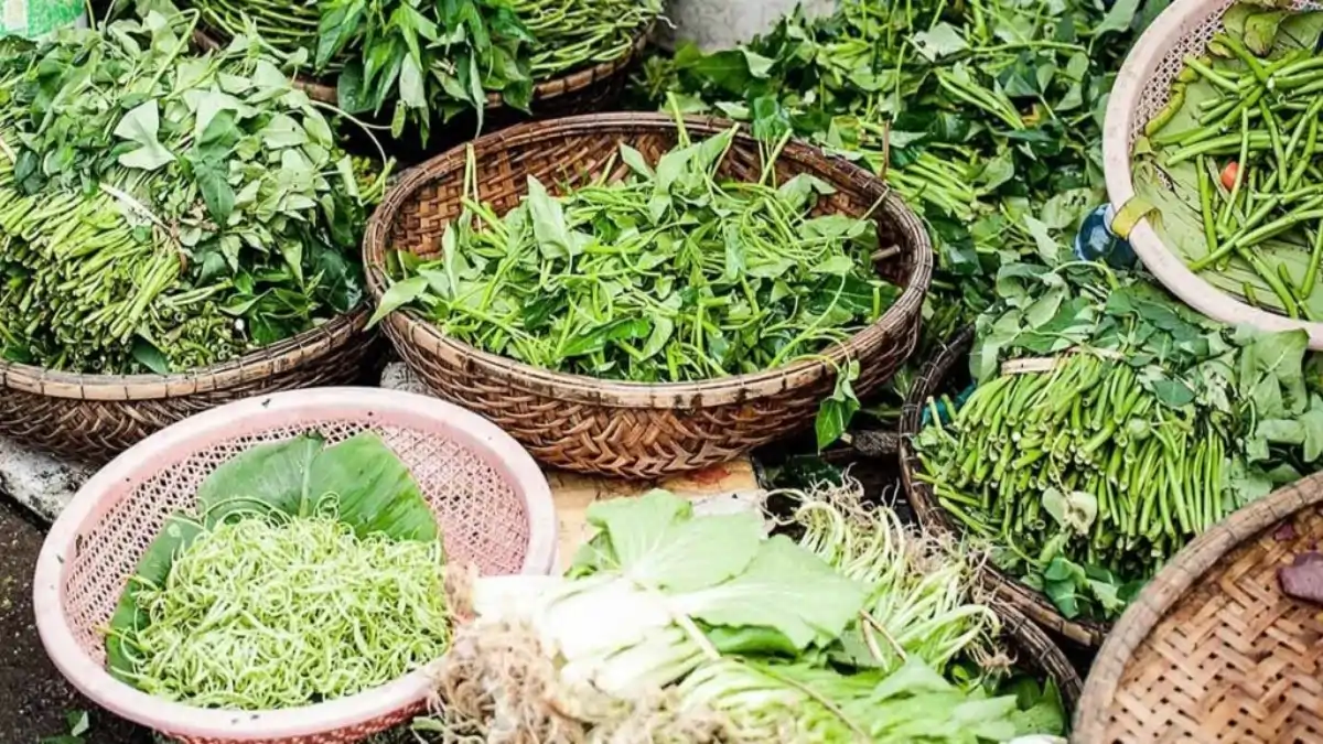 Cestos de microverdes cultivados em casa, no blog Conversa Pronta tem o passo a passo.