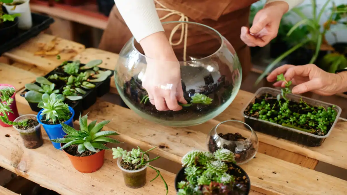 Mini terrário para lembrancinhas, tudo esta no blog Conversa Pronta.