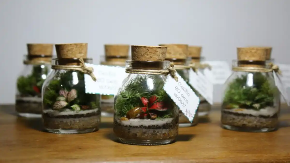 Mini terrários para lembrancinhas de festas, dicas estão no blog Conversa Pronta.