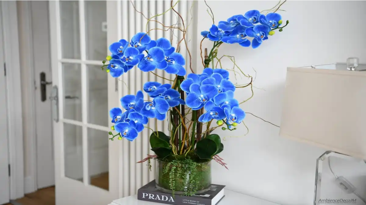 Orquídeas um design vivo no apartamento. O Cultivo completo e as dicas estão no blog Conversa Pronta.