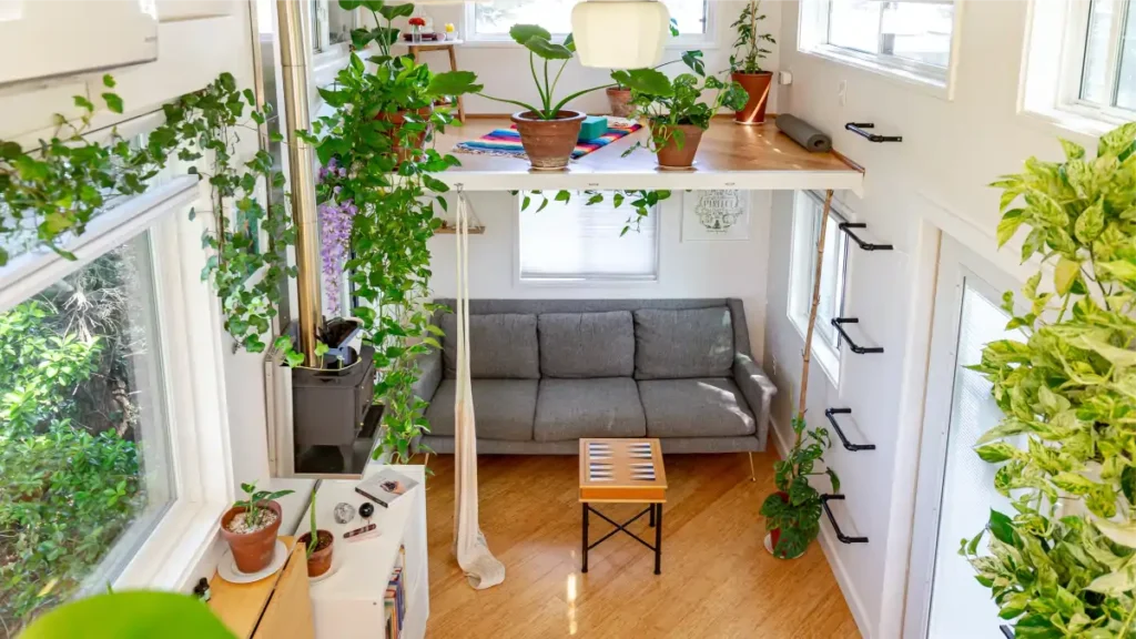 Plantas para kitnet, o passo a passo e as dicas no blog Conversa Pronta.