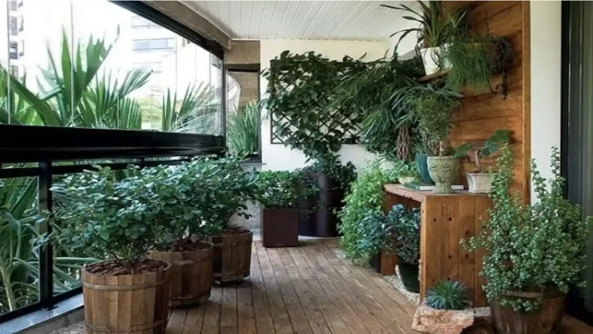 Plantas para varando no blog Conversa Pronta.