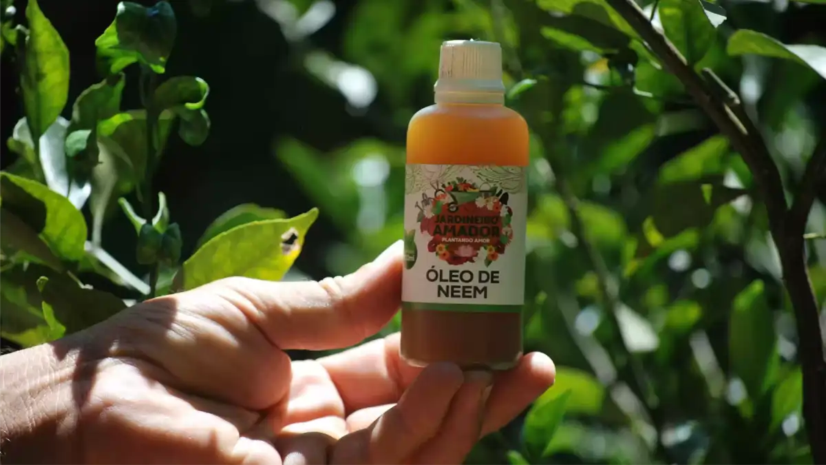 Aplicação de sabão contra pragas nas plantas ou óleo de neem, passo a passo e dicas completas no blog Conversa Pronta.
