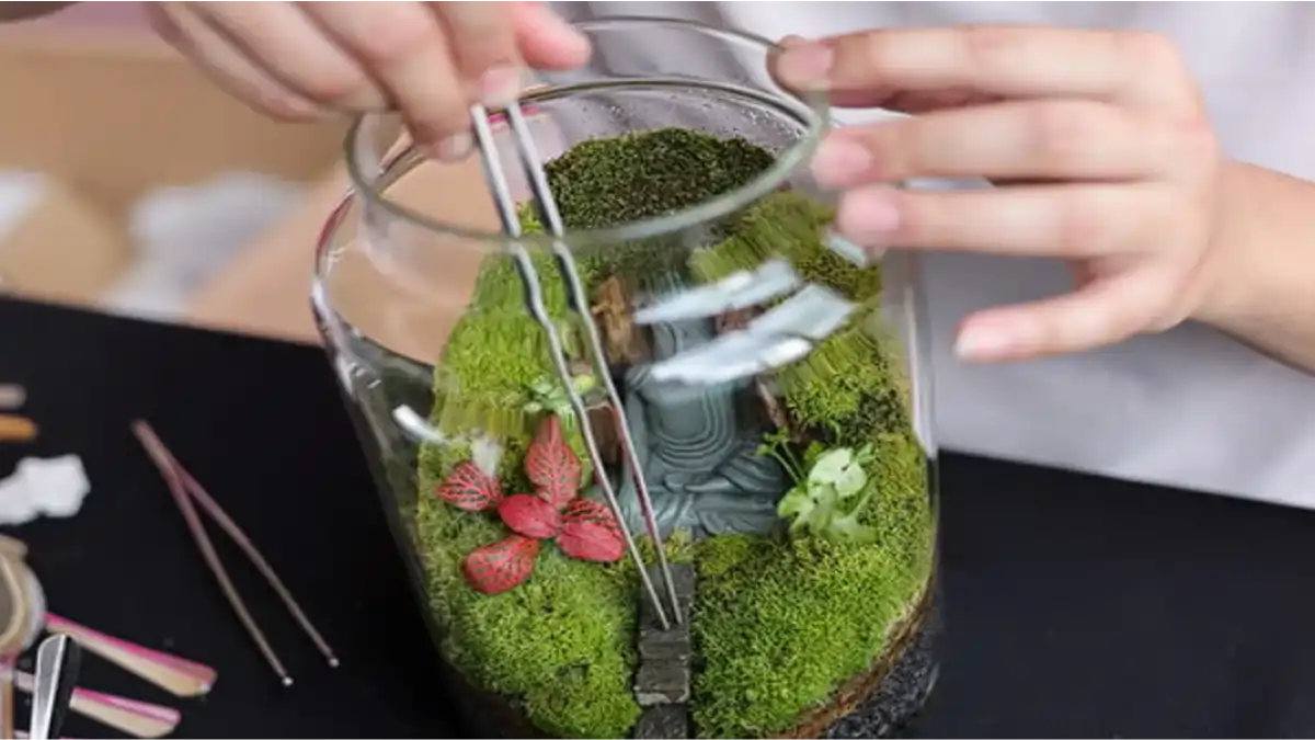 Terrário fechado e vidro, veja como fazer, no blog Conversa Pronta.