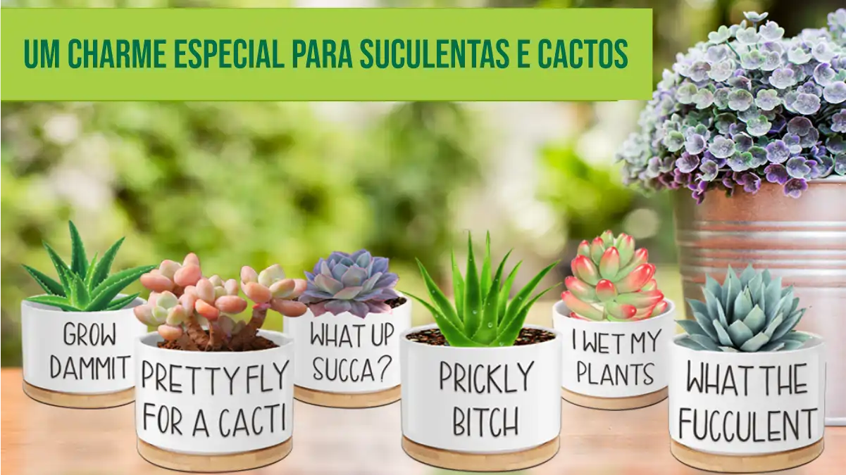 Vaso de gesso impermeabilizados para suculetas e cactos, as dicas estão no blog Conversa Pronta.