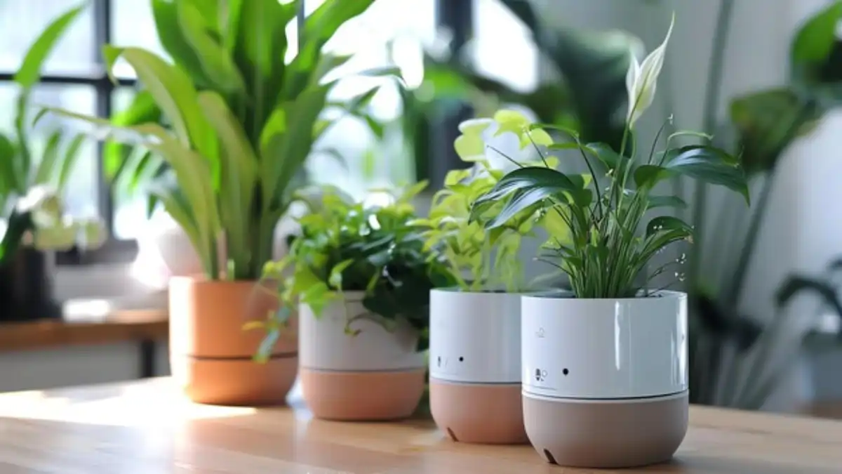 Vaso de plantas inteligente, auto irrigáveis, com plantas variadas, dicas no blog Conversa Pronta.