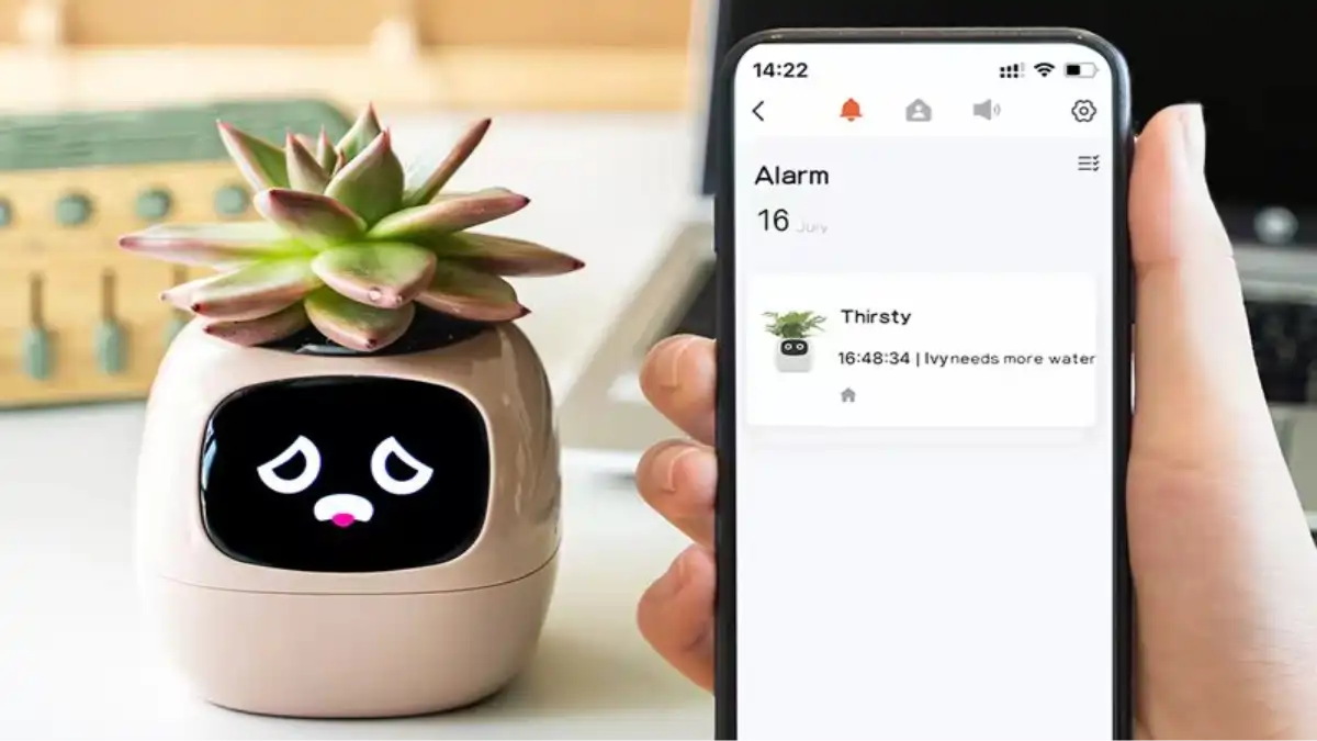 Vaso de plantas inteligente, auto irrigáveis, com plantas variadas, dicas e passo a passo completo no blog Conversa Pronta.