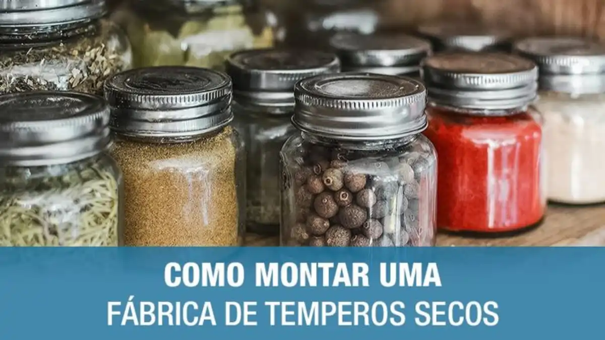 Tudo sobre a fábrica de temperos caseira com perguntas e respostas completas no blog Dica Pronta. Tire todas as suas dúvidas aqui.