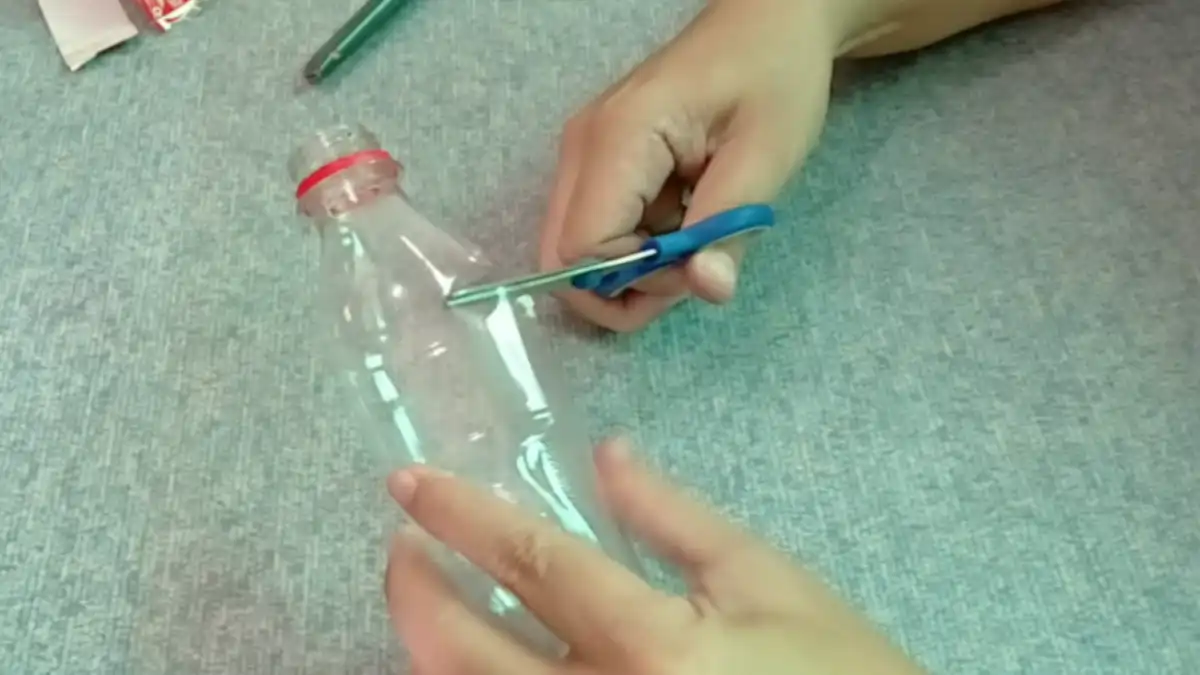 Alporquia na garrafa pet com passo a passo e dicas no blog Conversa Pronta. Confira.