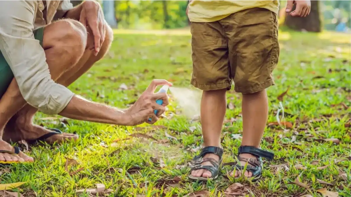 A Citronela em casa, cultivo em vasos e canteiros. As dicas e receita estão todas no blog Conversa Pronta.