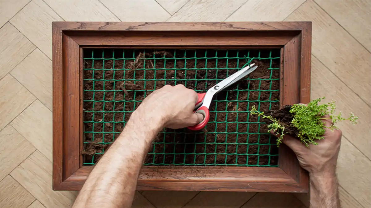 Como fazer quadro vivo de suculentas, todas as dicas estão no blog Conversa Pronta.