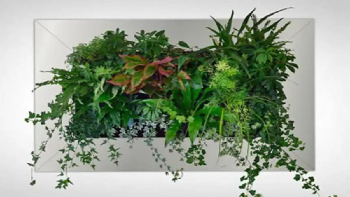 Descubra agora Como fazer quadro vivo de suculentas, todas as dicas ja estão no blog Conversa Pronta. Confira!