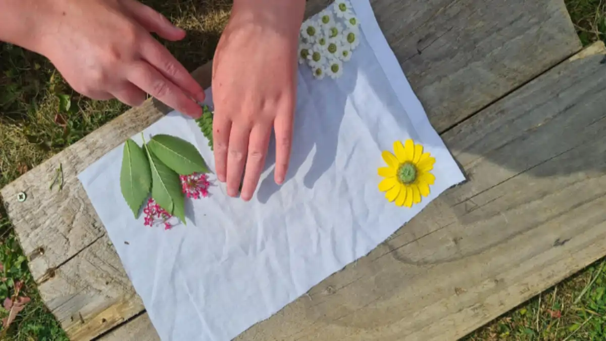 Estampa Botânica em tecidos usando martelo folhas e flores. Blog Conversa Pronta. Dicas completas com passo a passo e video.