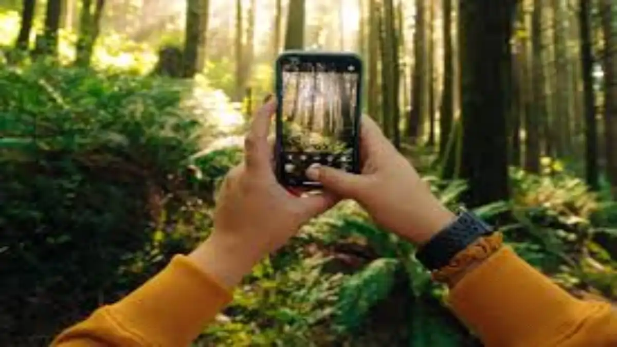 Influencer verde gerando renda nas redes sociais. Dicas e sustentabilidade  no blog Conversa Pronta.