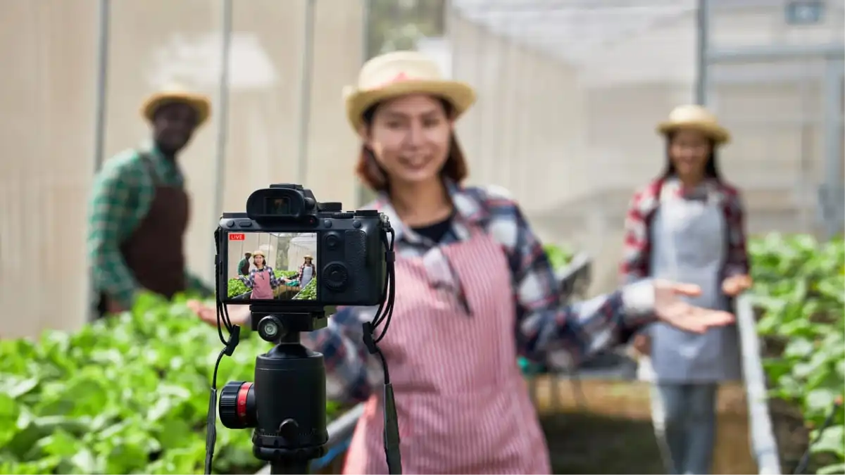 Influencer verde gerando renda nas redes sociais. Um passo a passo  completo no blog Conversa Pronta.