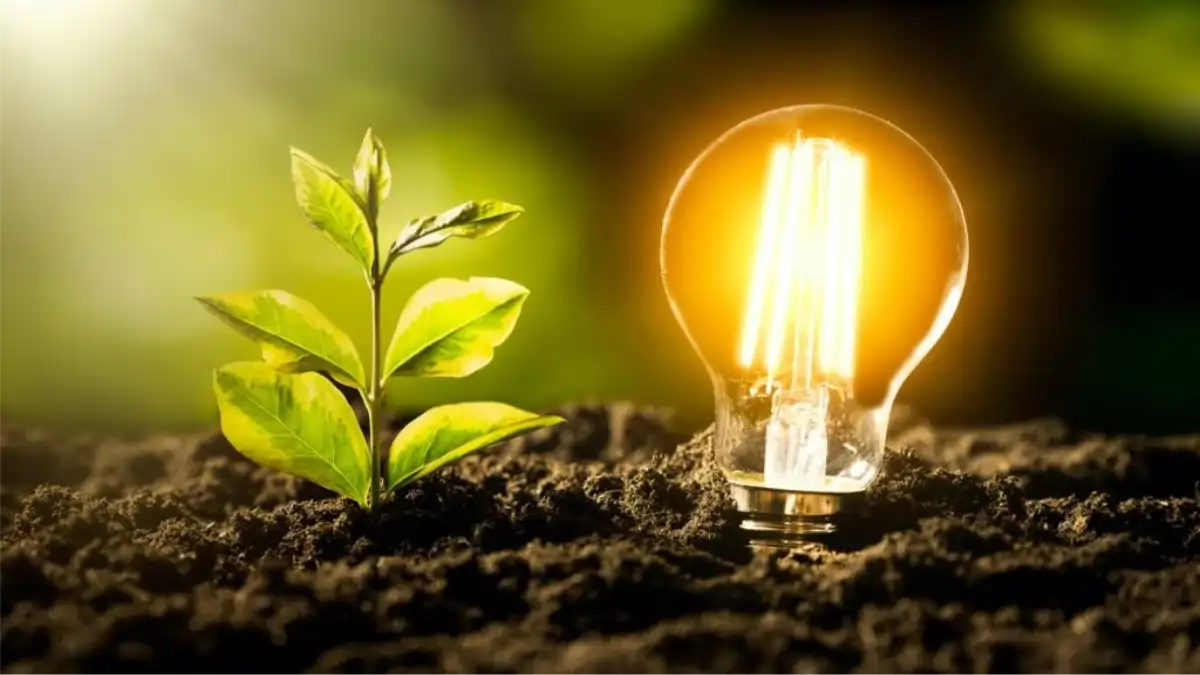 A Jardinagem completa no blog Conversa Pronta. Um tutorial completo. Confira.