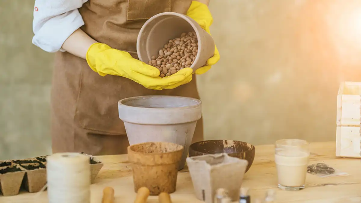 Jardinagem completa, dicas  no blog Conversa Pronta. Um tutorial completo. Confira agora.