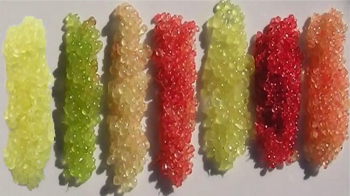 Variedades de limão caviar no blog Conversa Pronta.