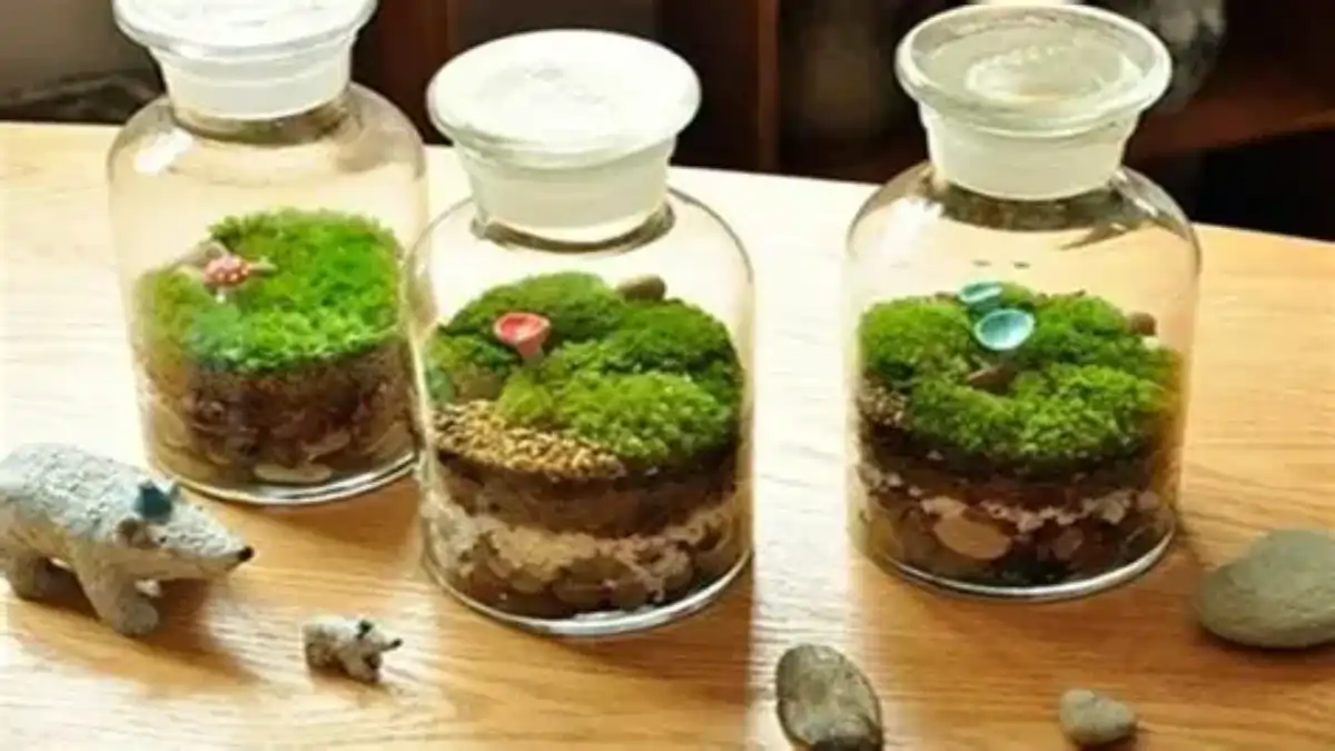 Os mini terrários estão todos no blog Conversa Pronta. Veja as Dicas.