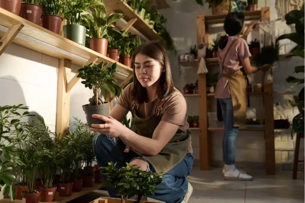 Negócios com plantas, um passo a passo completo mais dicas sobre as plantas no blog Conversa Pronta.