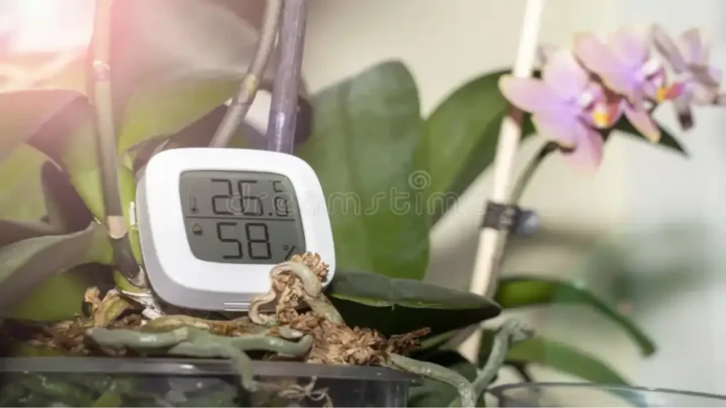 Termo-higrômetro usado em vasos de plantas. Blog Conversa pronta.