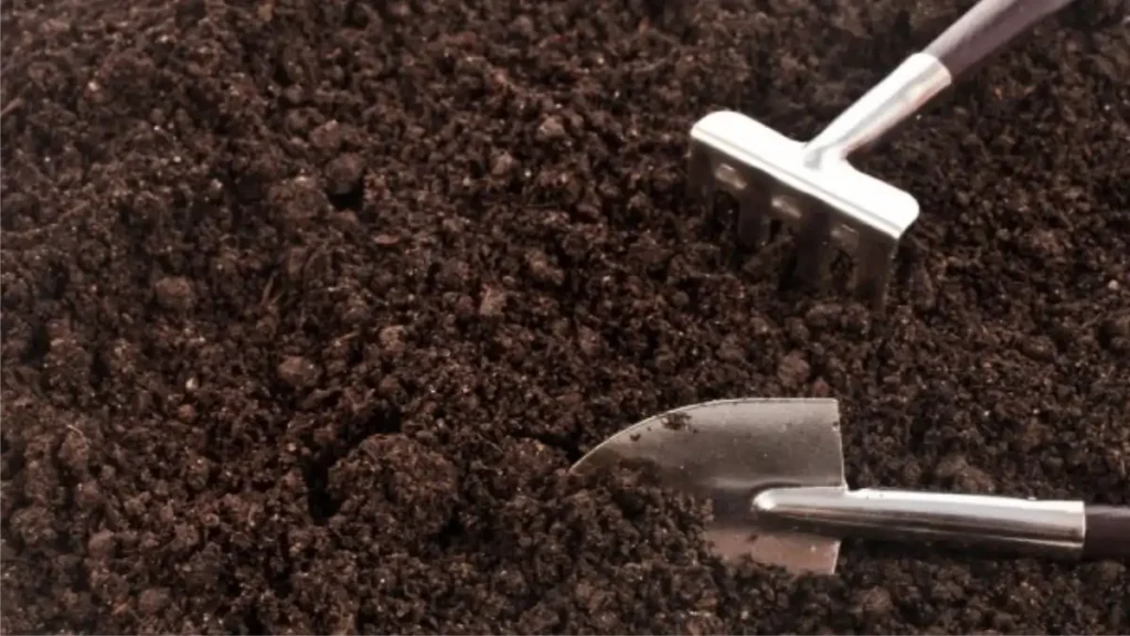 Terra para mudas. As dicas estão no blog conversa pronta.