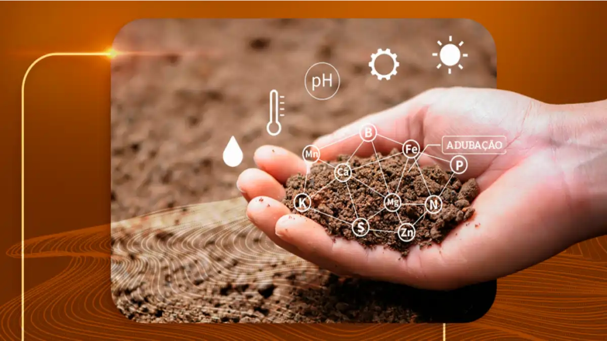 Terra para mudas. As diferenças de adubação estão no blog conversa pronta. Confira!