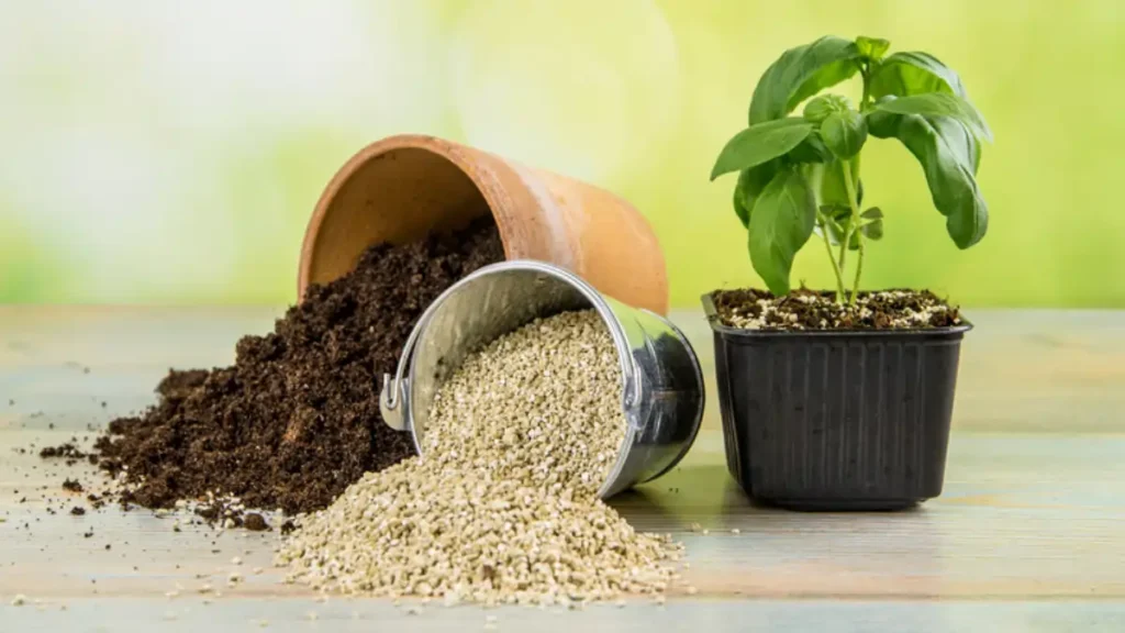 Terra para plantar mudas, qual a melhor. Veja no blog Conversa Pronta.