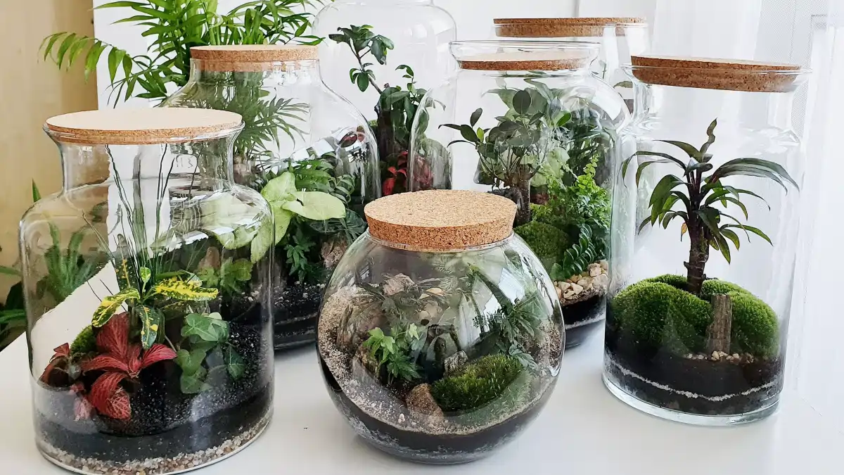 Os mini terrários estão todos no blog Conversa Pronta. Veja as Dicas completas e passo a passo.