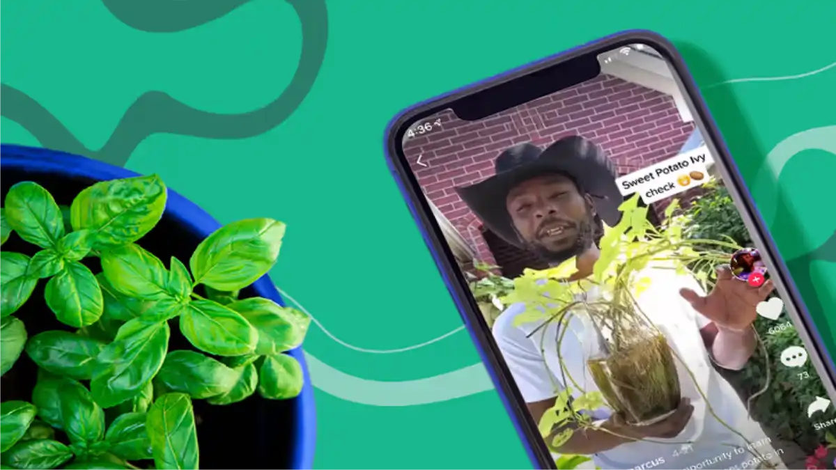 Gravação de um Influencer verde gerando renda nas redes sociais. Passo a passo  completo no blog Conversa Pronta.