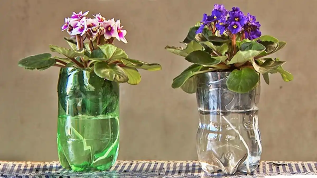 Vaso autoirrigável feito com garrafa reciclada e galão, passo a passo no blog Conversa Pronta.