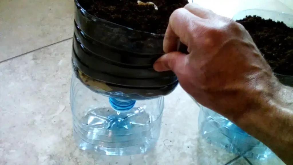 Vaso autoirrigável para plantas maiores, com galão de 5lts, no blog Conversa Pronta.