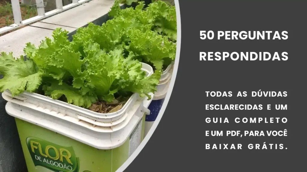 Vaso autoirrigável feito com galão reciclado, no blog Conversa Pronta.