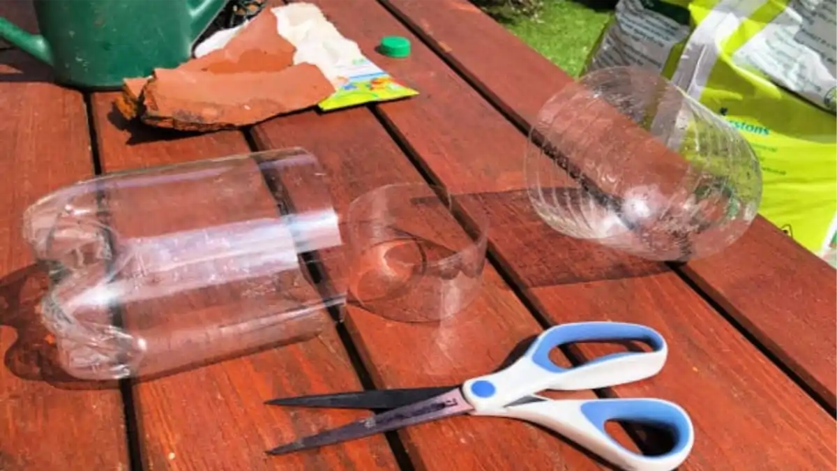 Vaso pet auto irrigável, as dicas completas estão no blog Conversa Pronta.