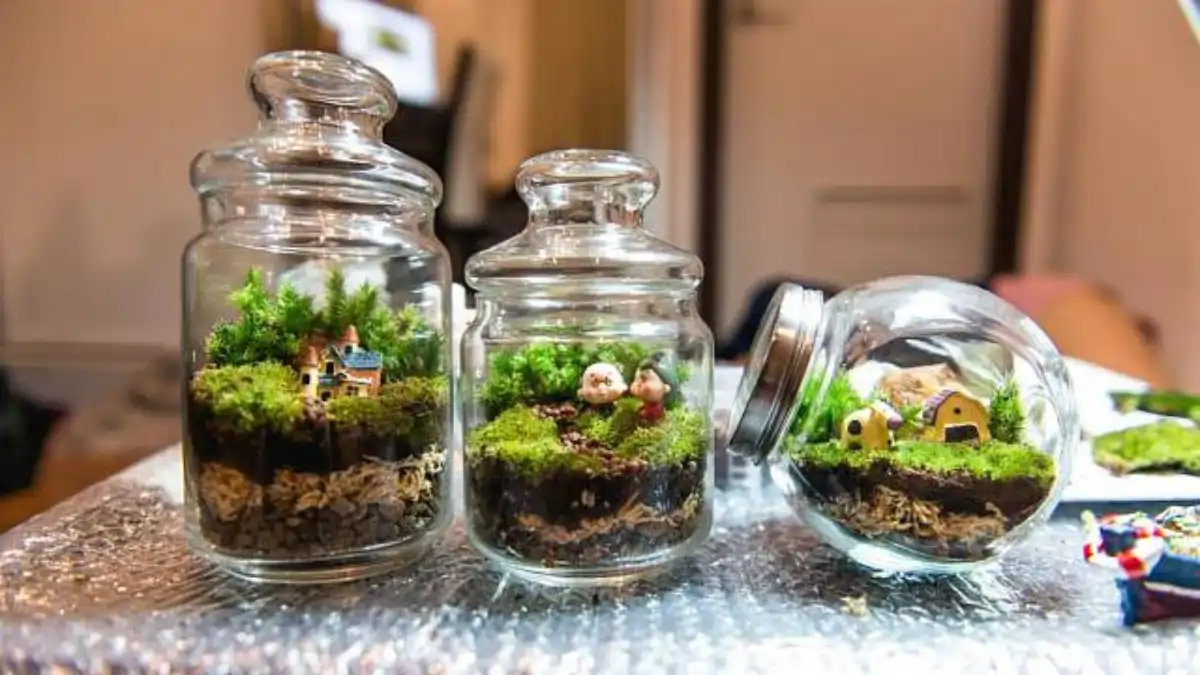 Os mini terrários estão todos no blog Conversa Pronta. Veja as perguntas e respostas.
