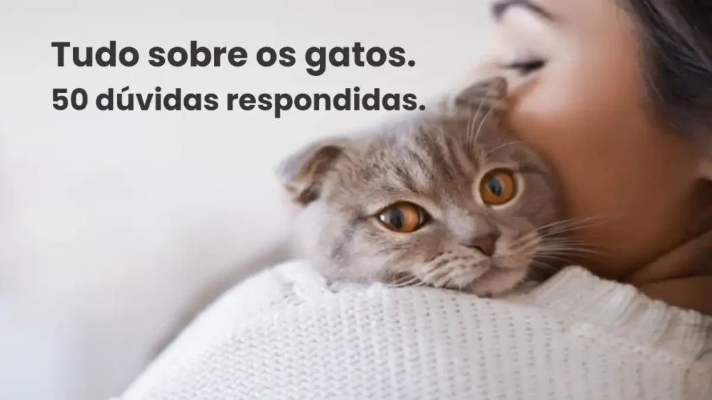 50 dúvidas sobre gatos, todas respondidas no blog Conversa Pronta.