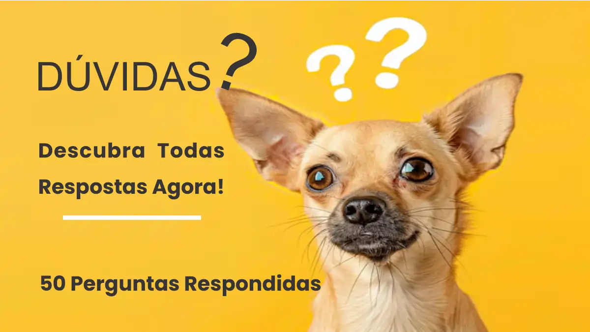 As 50 perguntas sobre os cães respondidas no blog Conversa Pronta.
