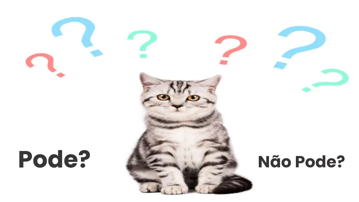 Dúvidas sobre gatos em casa, todas respondidas no blog Conversa Pronta.